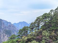 -黄山风景区