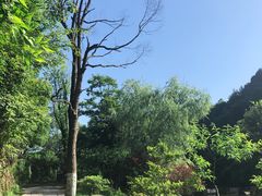 -常德桃花源景区