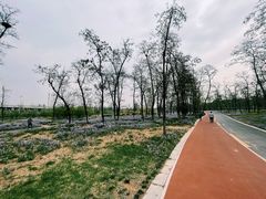 -潇河湿地公园