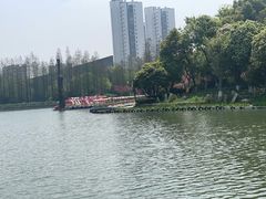 -圩墩遗址公园