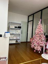 -Lab Season惜辰颜究社