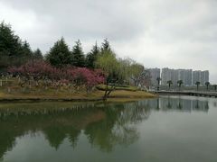 -白塘生态植物园