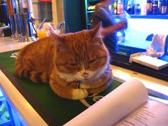 IMG_4119-Sirena海妖日咖夜酒