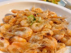 -云中小雅