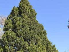 -白水寺森林公园