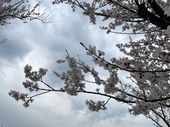 -云幽谷旅游区