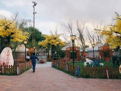 -大汗行宫园林餐厅