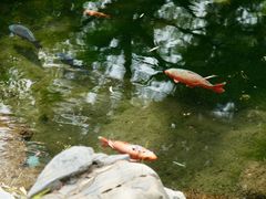 -趵突泉景区