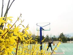 -门城湖公园