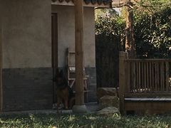 -体汇+名都体育公园足球场