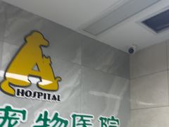 -半岛宠物医院24小时(白果林店)