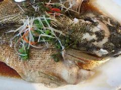 笋壳鱼-上海老站(徐家汇店)