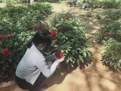 -济南植物园
