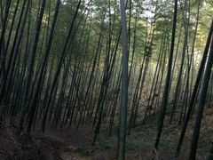 -苏州吴中太湖旅游区
