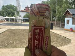 -荷花大观园