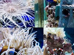 -太平洋海底世界