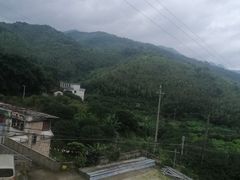 -广州市流溪河国家森林公园