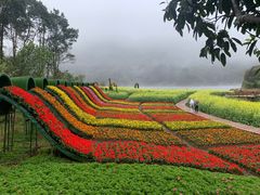 -广州市石门国家森林公园