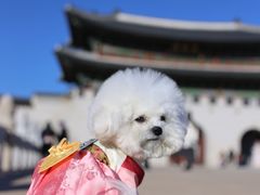 -景福宫
