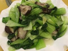 -清真·安乐园菜馆(茶南店)