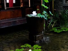 -鱼桥巷·美学川菜