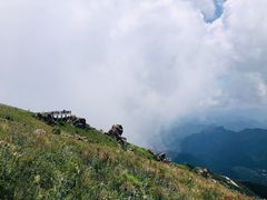 -白草畔自然风景区