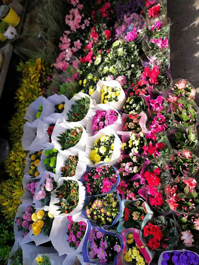 三林花鸟市场-"偶尔买点小花小草心情还真不错!牵牛花的.