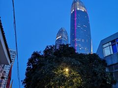 -演武大桥观景平台