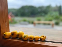 -小晴天咖啡馆