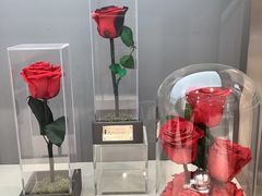 -ROSEONLY诺誓(广州K11店)