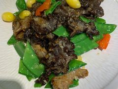 -茹·pure vegan(博华广场店)