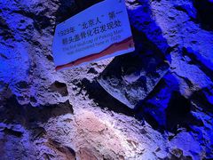 -周口店北京人遗址公园