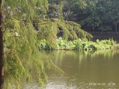 -人民公园(罗湖区)