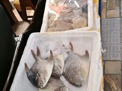 -喝丢一只鞋海鲜烧烤·海肠捞饭(市场店)