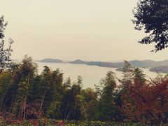 -天目湖涵田半山温泉