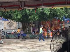 -悦城龙母祖庙