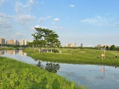 -洋湖国家湿地公园