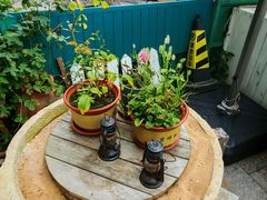 -一杯海(国际海水浴场店)