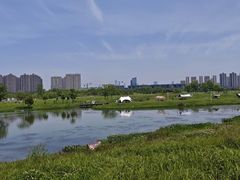 -洋湖国家湿地公园