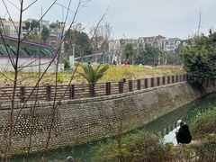 -神仙树公园
