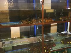 -斯比特花园西餐厅(东方商厦店)