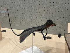 -辽宁古生物博物馆
