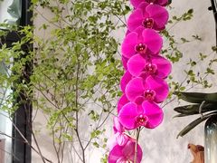 -溪岸路花鸟市场
