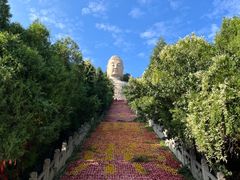 -蒙山大佛景区