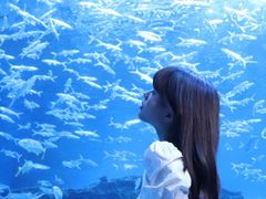 -海合安成都极地海洋公园