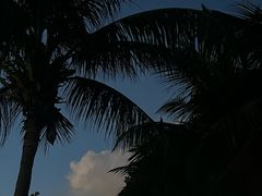 -深圳湾公园(南山区)