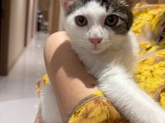 -筋骨堂热敷推拿按摩(翠华路店)