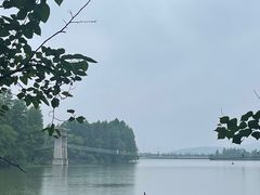 -东湖落雁景区
