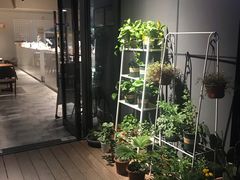 -Primo·丽莫意大利窑烤披萨