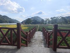 -广州市石门国家森林公园